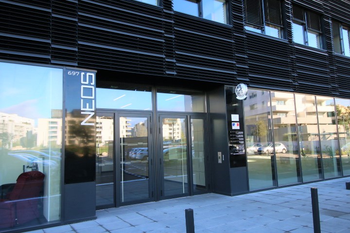 Le pin sylvestre