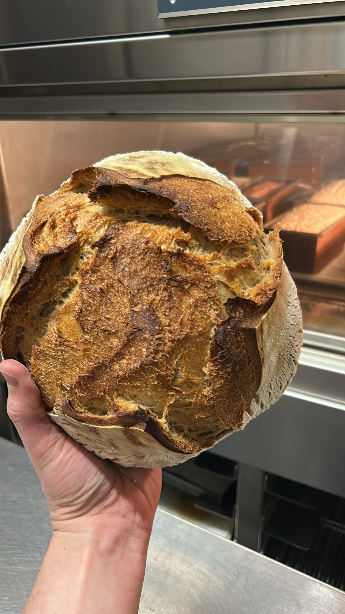 Rebel Bread Mons